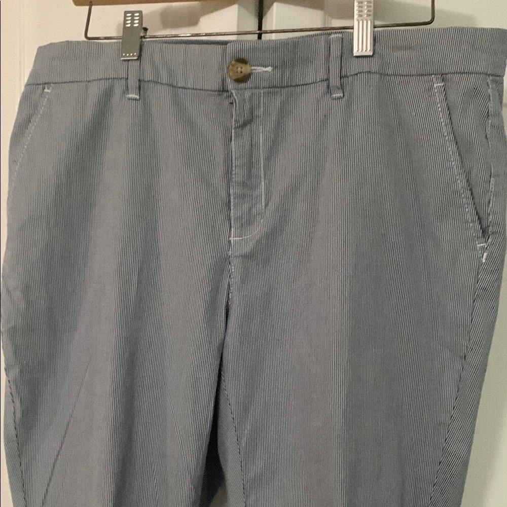 Tommy Hilfiger Blue Ankle Cropped Pants NWOT